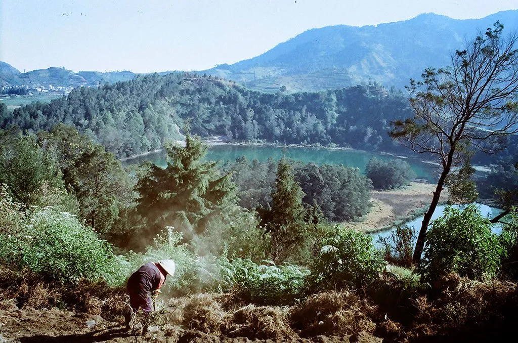 Zuki Satudua