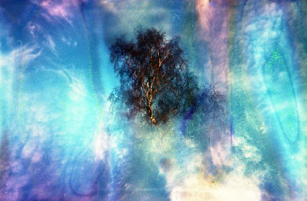 Richard PJ Lambert