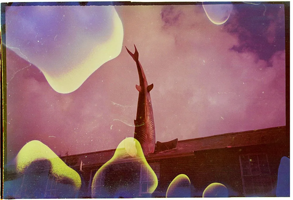 Richard PJ Lambert