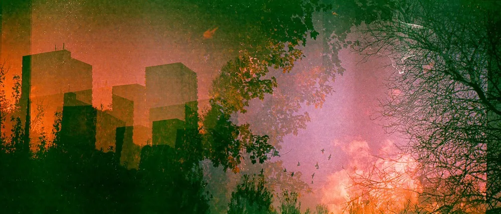 Richard PJ Lambert