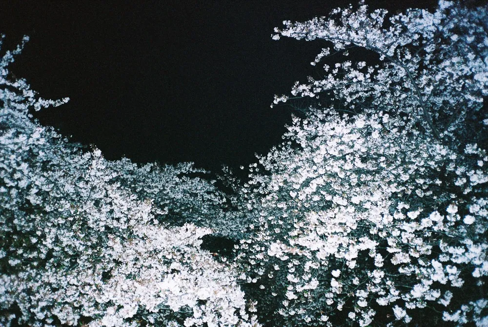 Nick Prideaux