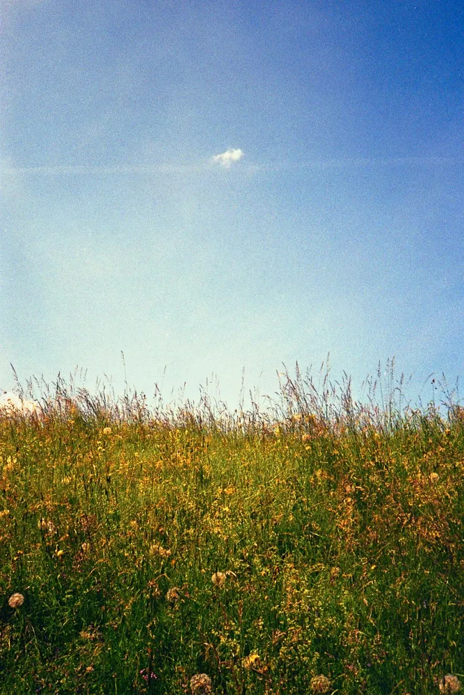Luca Ellena