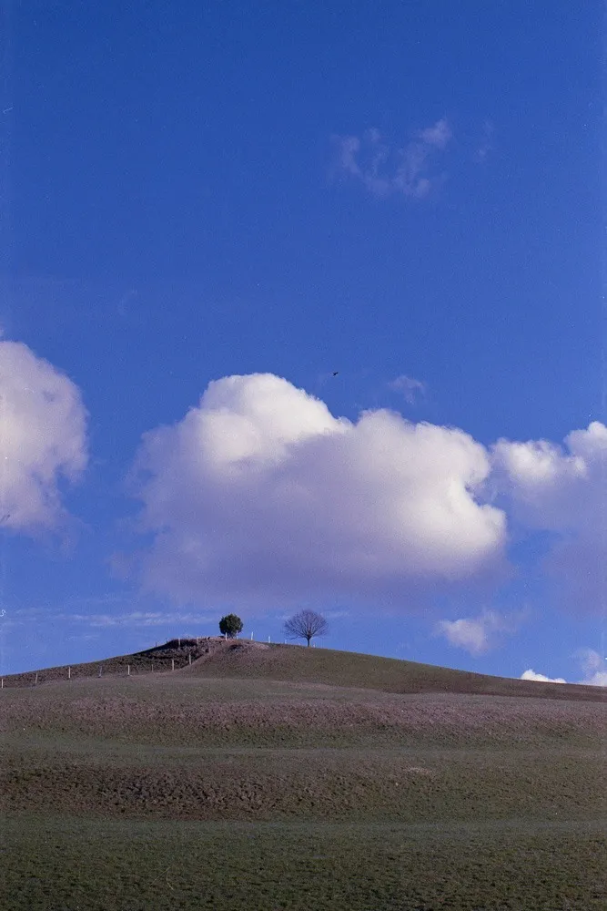 Luca Ellena