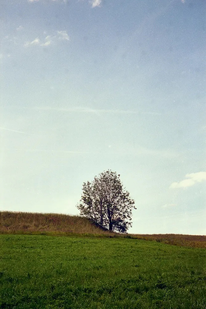 Luca Ellena
