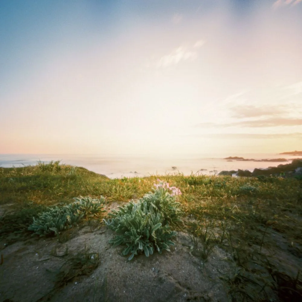 Nils Karlson